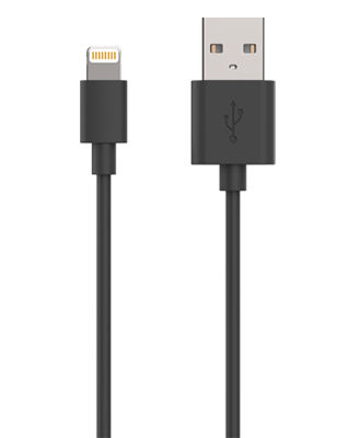 6' Apple Lightning Cable Black